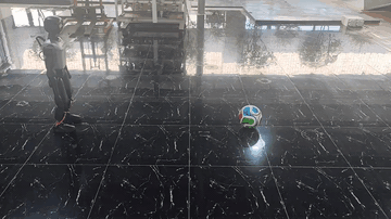 Humanoid robot kicking a ball